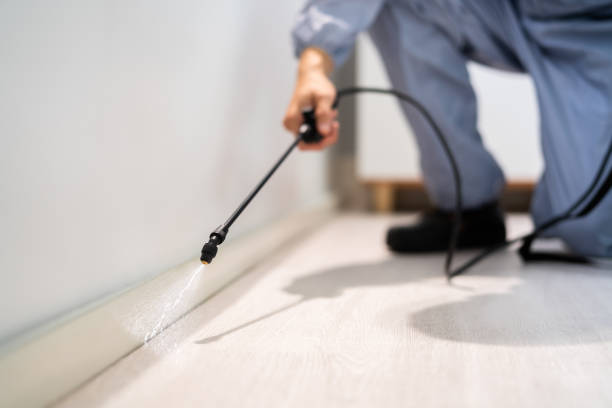 Certified termite inspector examining foundation in Greensboro